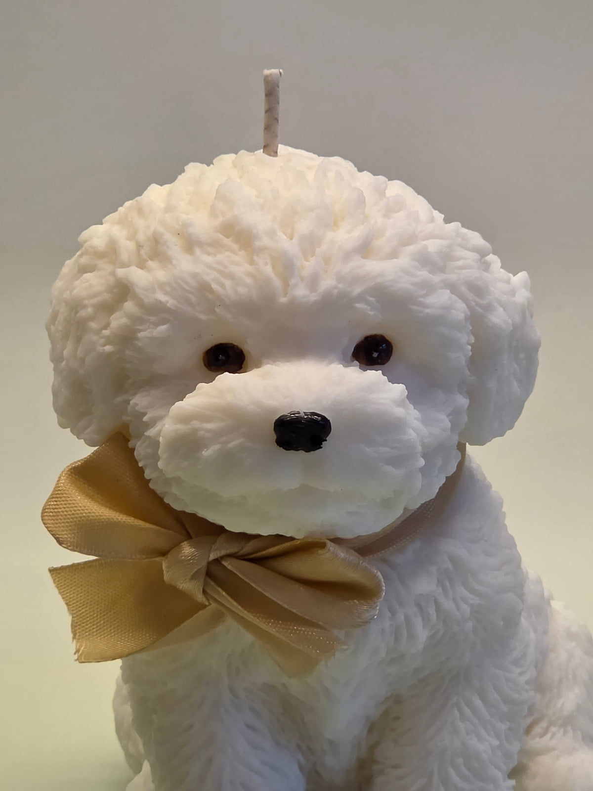 Puppykaars – Altijd aan je zijde ❤️