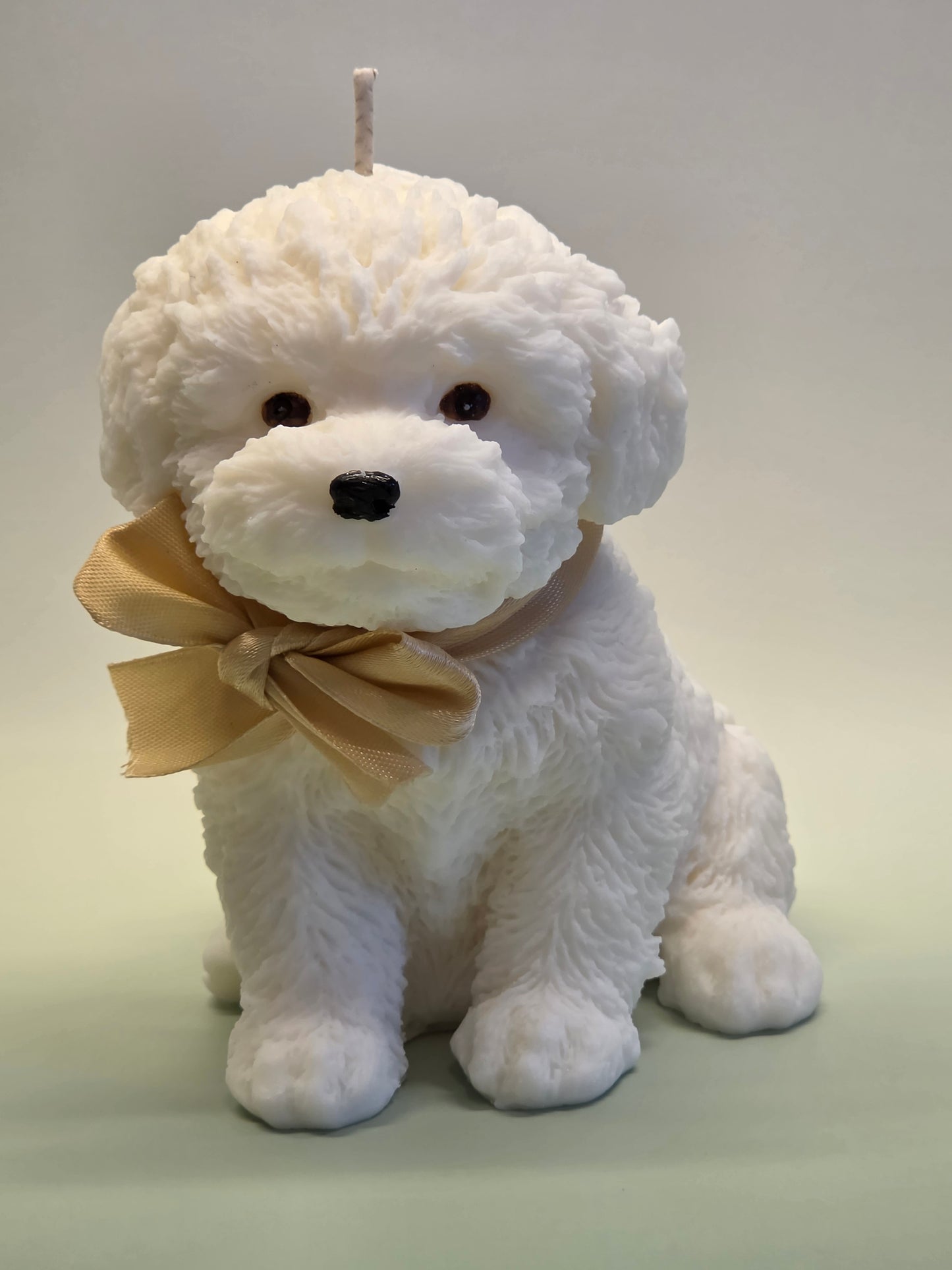 Puppykaars – Altijd aan je zijde ❤️