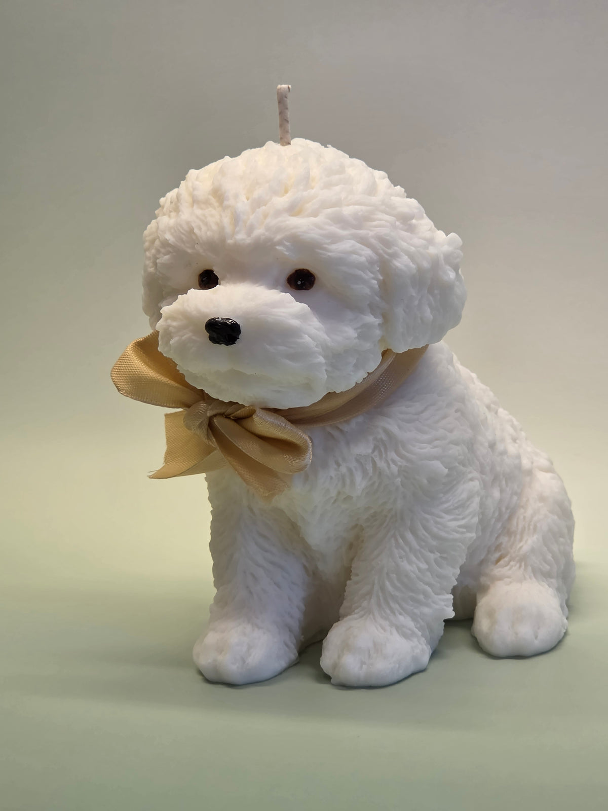 Puppykaars – Altijd aan je zijde ❤️
