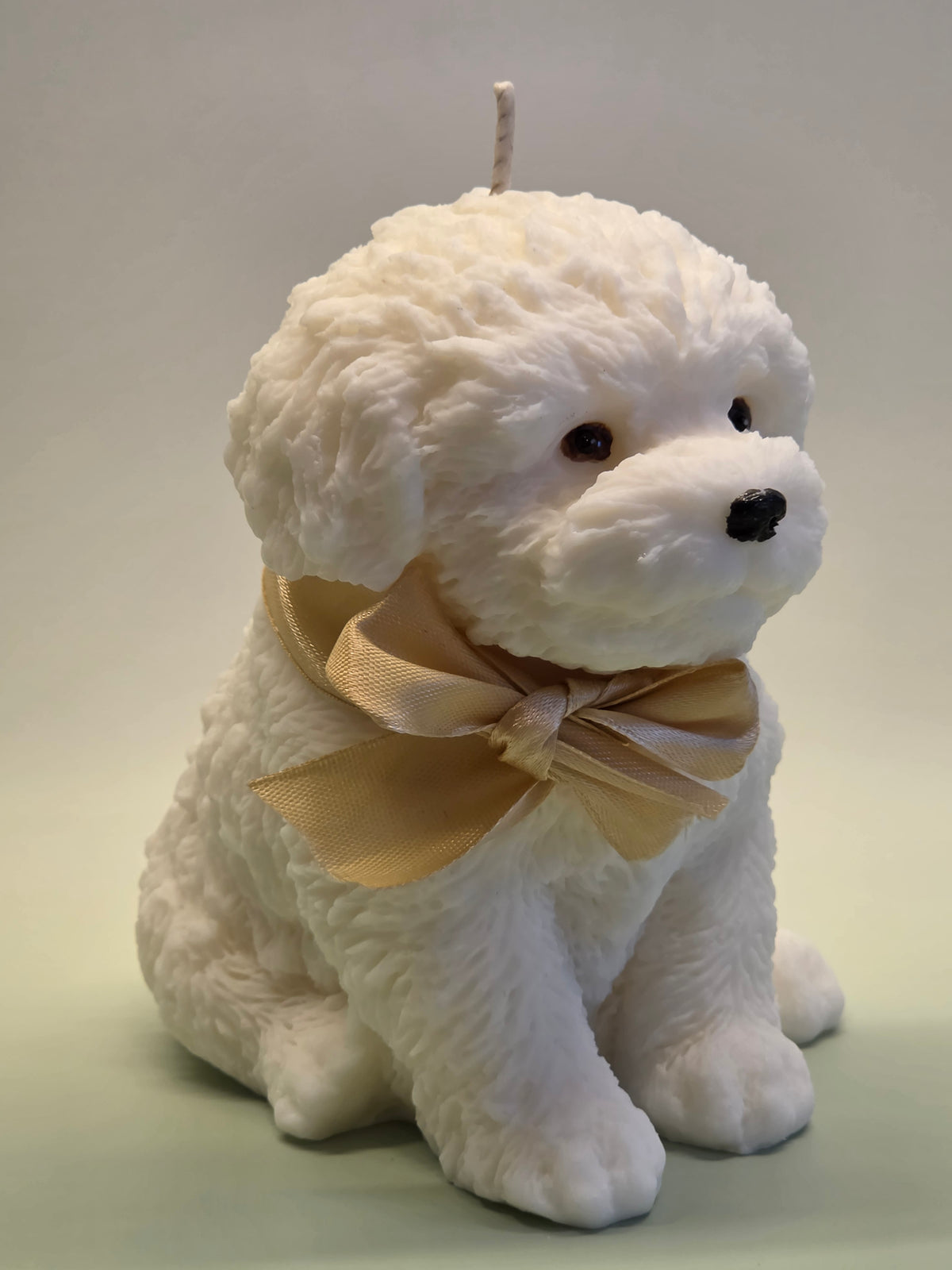 Puppykaars – Altijd aan je zijde ❤️