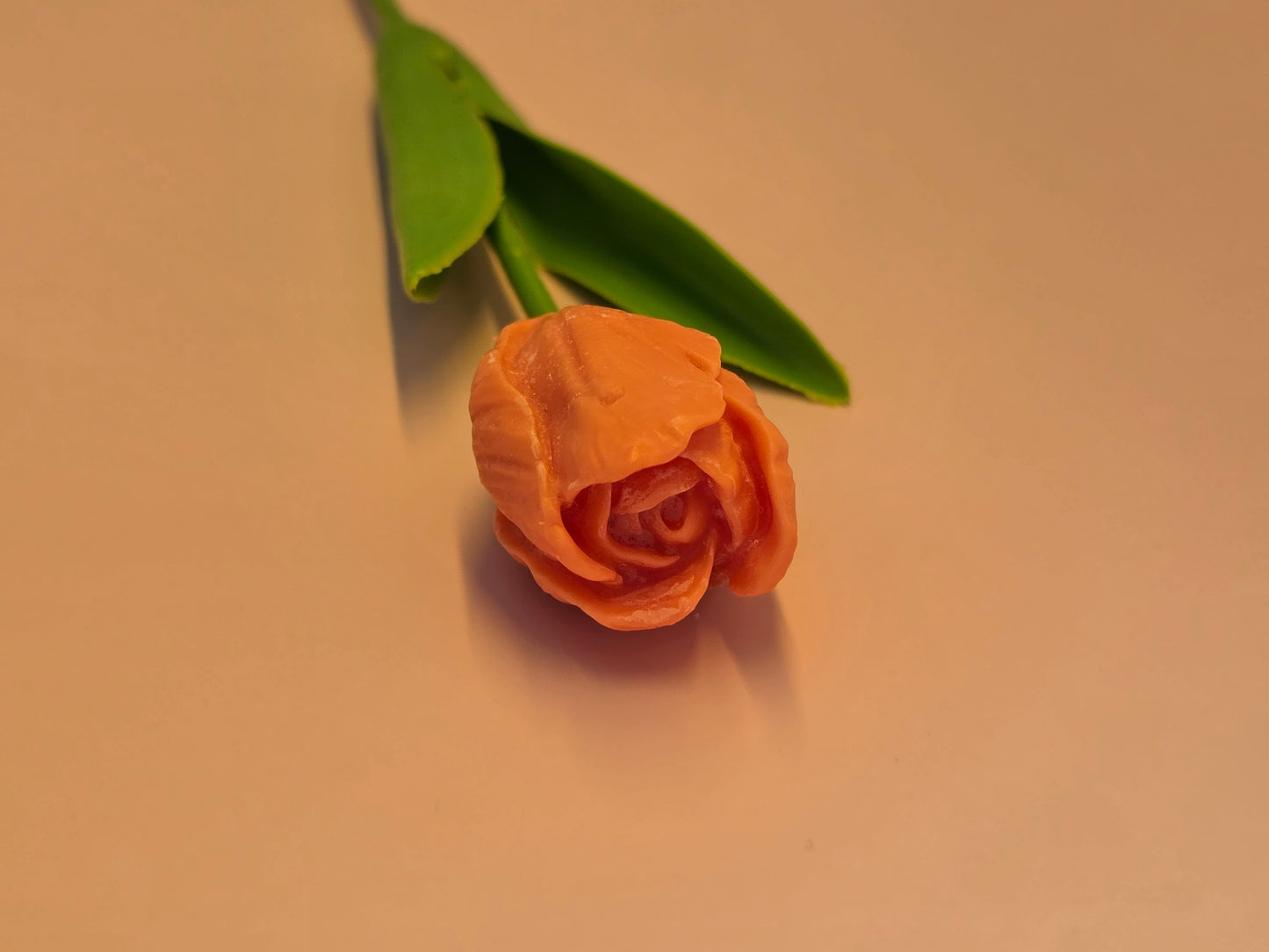 wax melt tulp
