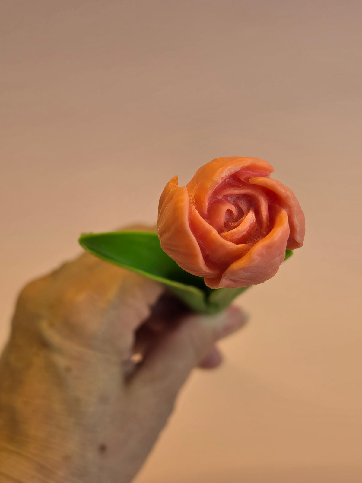 wax melt tulp